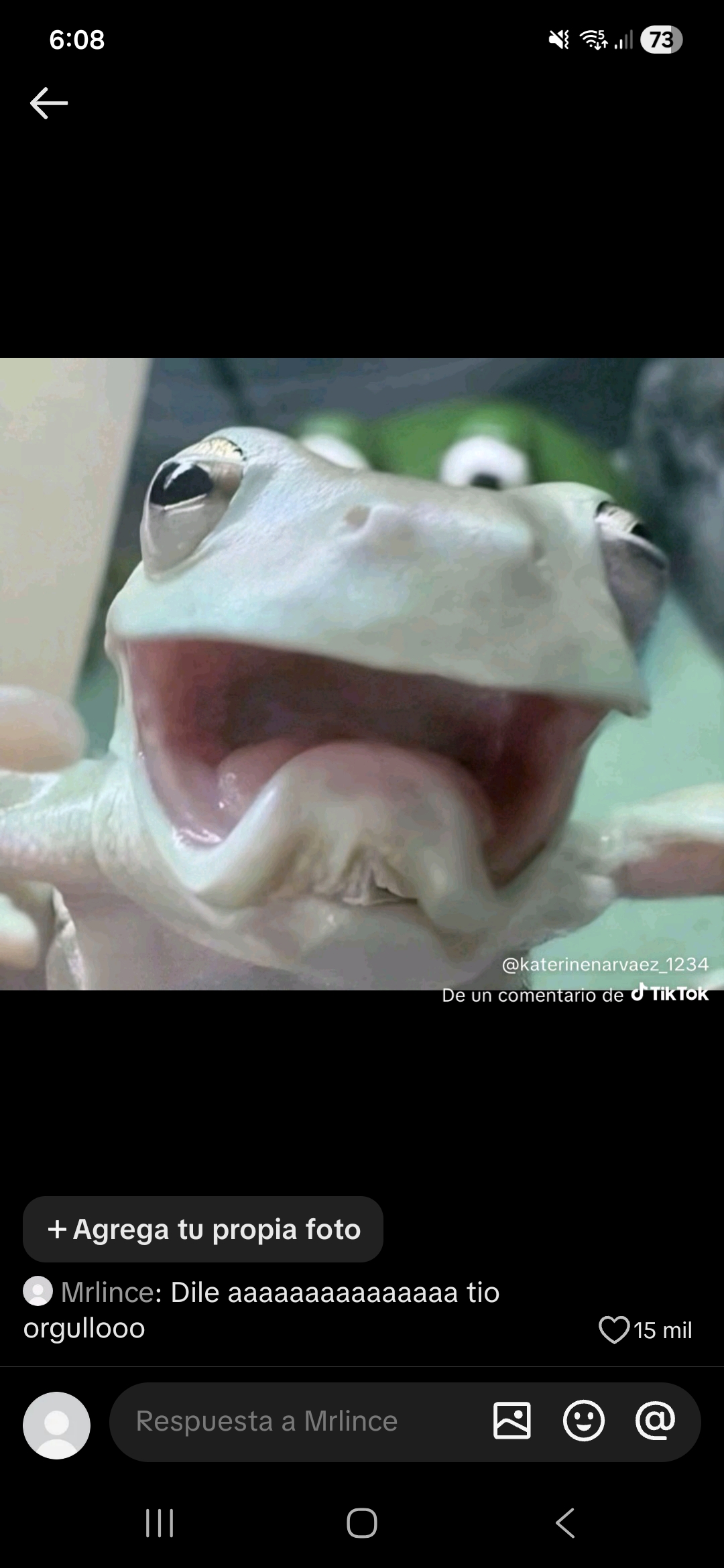 Carpinteria en melamina